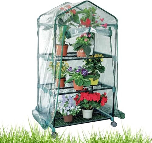 Plant House - Serra solare riscaldante, piccola serra da giardino a 3/4 livelli con ruote di bloccaggio, con copertura con cerniera, questa