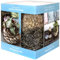 Sukkulente kokedama Kit