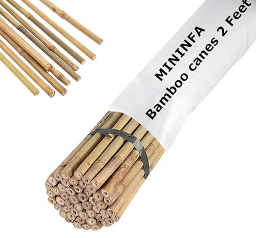 Mininfa Lot de 50 tiges en bambou naturel de 60 cm - Pour tomates, arbres, haricots