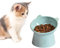 Cat Bowl Raised Cat Food Bowl Elevated Cat Feeder Bowl Stand Food Water Anti Vomiting Shallow Cat Dish with Non-Slip Mat Pet Bowl for All Cat (B Green)
