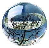 Ecosphere Kugel mit Garnelen KaRoFoilFix