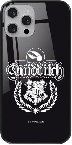 ERT GROUP mobile phone case for Apple Iphone 11 original and officially Licensed Harry Potter pattern 047 made of hardened glass, optimally adapted to the shape of the mobile phone, protective cover