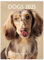 Draeger Paris – Kleiner Wandkalender 14 x 18 cm 2025 – September 2024 bis Dezember 2025 – 7 Sprachen – September 2024 bis Dezember 2025 – 12 Fotos verfügbar – Hunde – Organisation Ihrer Tage