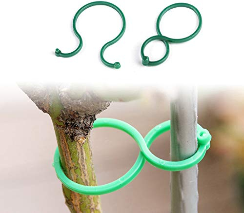Lohas Select Pflanzenklemmen mit Clip, für Pflanzen, für Gemüse, Tomaten, Weinrebe, Blumen-Clips, Pflanzenschlösser zur Sicherung von Pflanzen (100 Stück)