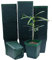 Nore Lot de 100 Pots carrés en Plastique pour Plantes Grasses Vert 8 cm