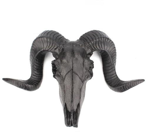 SZRWOPLO Ram Skull Wall Hanging Decor, Realistic Animal Head Wall Statue, Faux Taxidermy Wall Animal Head For Hallway Exhibition Hall(Color:STYLE 2)