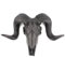 SZRWOPLO Ram Skull Wall Hanging Decor, Realistic Animal Head Wall Statue, Faux Taxidermy Wall Animal Head For Hallway Exhibition Hall(Color:STYLE 2)