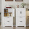 Hzuaneri Badezimmerschrank mit 2 Türen und 2 Schubladen, Badschrank mit Verstellbaren Einlegeböden für Wohnzimmer und Bad, Küche, Waschküche, Weiß SC16413X