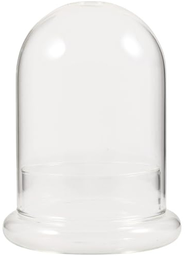 GARVALON Ökologische Glasflasche Leichtes Pflanzgefäß als Terrarium mit Klarer Glasform zur Dekorativen Präsentation für Pflanzen und Blumen für Balkon und Büro