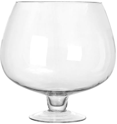 ifundom Aquarium Multifonction en Verre Transparent pour Poissons Rouges et Betta, Vase Hydroponique 19x19 Cm, Décor de Bureau et Maison, Réservoir Délicat pour Plantes Aquatiques