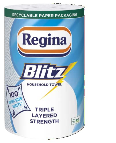 Regina Blitz Household Towel 100 Super Sized Sheets