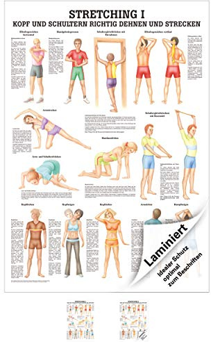 Rüdiger Stretching I Lehrtisch Anatomie 100x70 cm medizinische Lehrmittel