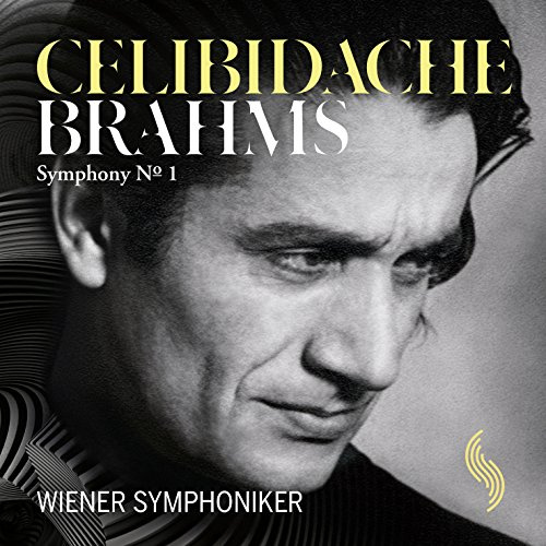 Wiener Symphoniker (Naxos Deutschland Musik & Video Vertriebs-)