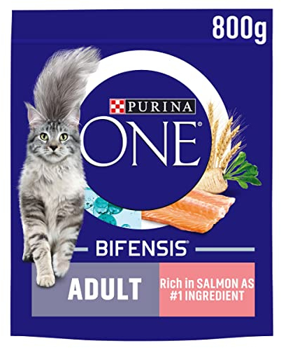 PURINA ONE Salmon Dry Cat Food 800g (Pack of 4)