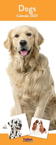 2027 Slim Month To View Spiral Bound Dog Photo Wall Calendar Dogs