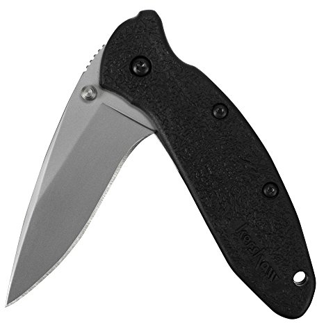Kershaw 0, Taschenmesser, Linerlock Black, Klinge: 6.4 cm, schwarz, extended Tang, Daumen Pin, Taschenclip Klappmesser-Scallion-Klingenlänge: 6,1 cm, mehrfarbig, 7,6 x 3,3 x 3 cm 95 g, 7,6 x 3,3 x 3 cm ; 95 g, 1620