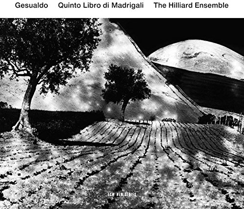 Gesualdo: Quinto Libro Di Madrigali