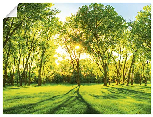 ARTLAND Wanddeko Poster & Kunstdrucke Wandposter Natur Wald Sonne Landschaft Frühling Wiese Bäume Grün T2OP