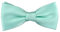 TigerTie - Kleinkinder Baby Fliege in mint grün mit Gummizug 29 bis 40 cm Halsumfang verstellbar + Aufbewahrungsbox