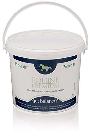 Protexin Equine Premium Gut Balancer 300 g