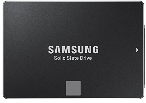 Samsung MZ-75E250 - Disques SSD
