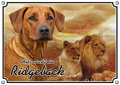 Petsigns Hundeschild - Rhodesian Ridgeback - 1A Metallschild - bis DIN A3, DIN A5