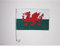 AZ FLAG - Autofahne Wales - 45x30 cm - Walisische Autoflagge 30 x 45 Cm - Auto Flaggen
