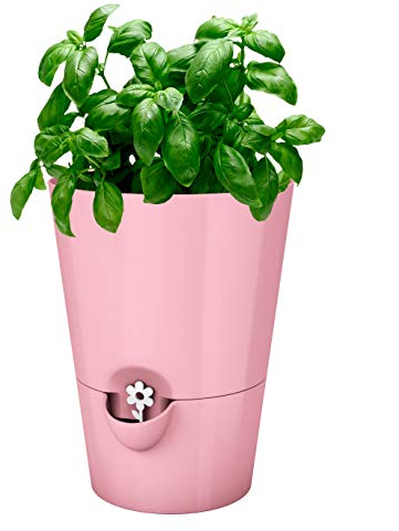 Emsa Kräutertopf für frische Kräuter, Selbstbewässerung, Wasserstandsanzeiger, Ø 13 cm, Altrosa, Fresh Herbs, 517706