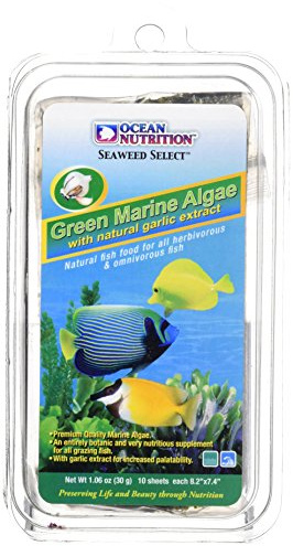 Ocean Nutrition Meeresalgen für Fische, 30 g, Grün