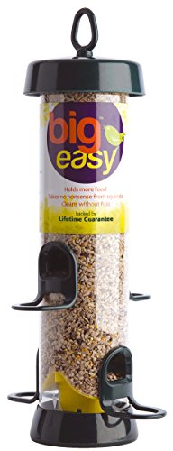 Hanging Bird Feeders For Small Birds - Jacobi Jayne® Bigeasy™ Medium Seed Bird Feeders For Wild And Garden Birds - Squirrel-Resistant Bird Feeder With Built In Hanging Ring.