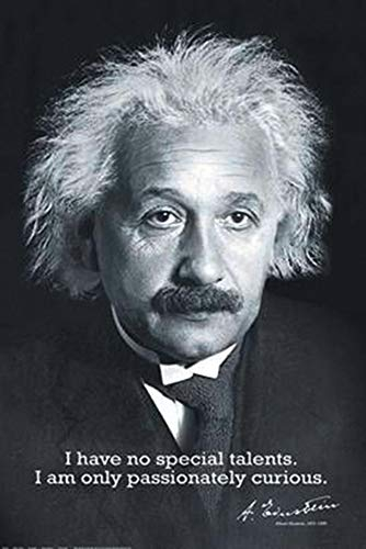 Close Up Albert Einstein Poster I Have no Special Talents. (61cm x 91,5cm)