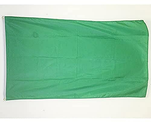 AZ FLAG - Drapeau Unicolore Vert - 150x90 cm - Drapeau De Couleur Verte 100% Polyester Avec Oeillets Métalliques Intégrés - Pavillon 110 g
