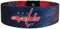 Siskiyou NHL Washington Hauptstädte Stretch Armbänder