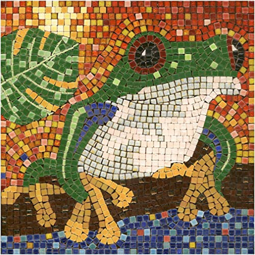 Réalisez Votre Propre Mosaïque Époustouflante, Kit Loisirs Créatifs diy, Carré de 20cm Grenouille