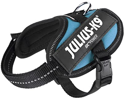 JULIUS K-9 IDC Powergeschirr, Größe: 2XS / Baby 2, Aquamarine, 16IDC-AM-B2