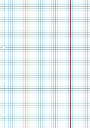 Baier & Schneider BRUNNEN Ringbucheinlage A4 kar mit KR 100Bl