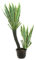 artplants.de Deko Agave, grün-gelb, 2 Blattstände, 29 Blätter, 160cm - Kunstpflanze Agave - Künstliche Sukkulente