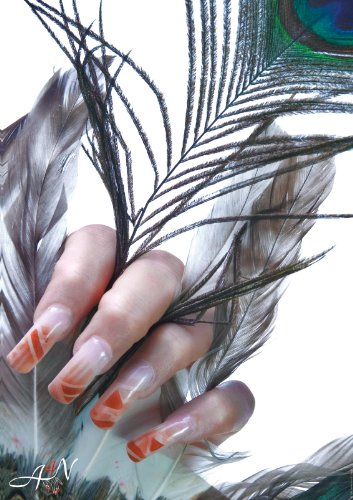 A4N Nagelstudio Naildesign Poster Pfau A2 60x40cm dekorieren Sie Ihr Nagelstudio mit tollen design Poster