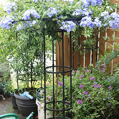 IUIBMI Garden Trellis for Climbing Plants and Flowers Outdoor 5Ft Rose Bush Round Trellis for Pots, Rustproof Vertical Metal Umbrella Trellis Tower Frame Flower Support Cage for Vines, Ivy