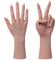 Yuewen Life-Size Silicone Female Hands Built In Bones for Jewelry Display Manicure practice (Beige, 1PC Left Hand With Skeleton)