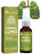 BreathDetox Herbal Lung Cleansing Spray,Natürliche Herbal Kräuter-Lungenreinigungsspray,Kräuterpflege-Nebel Lung Detox,Powerful Lung Support,Cleanse & Breathe-30ML