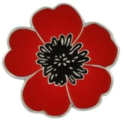 Broche coquelicot rouge en émail - 2,6 cm x 2,4 cm - Coquelicot du souvenir en émail dur pour veste, chapeau ou sac - Symbole commémoratif du jour de l'armistice