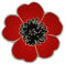 Broche en émail en forme de coquelicot rouge, Métal