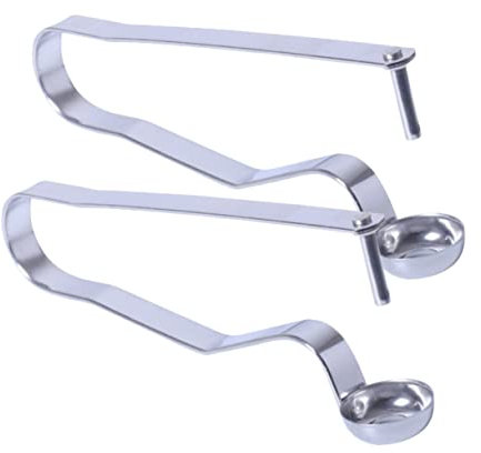 Alipis 2pezzi Snocciolatore per Datteri in Acciaio Antiruggine Levatorsoli per Datteri e Ciliegie Utensile da Cucina Facile da Pulire e Utilizzare Impugnatura Comoda per Uso Duraturo