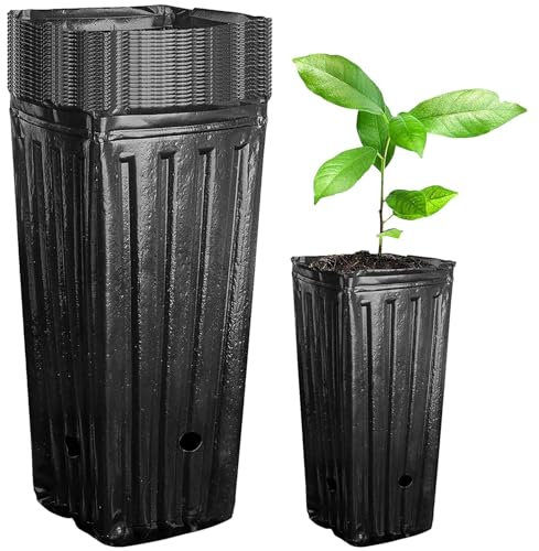 Macetas altas para árboles – 20 unidades de macetas de árboles profundos para habitación de los niños – Macetas de flores y plantas | Macetas altas para plántulas, plantas suculentas, macetas grandes