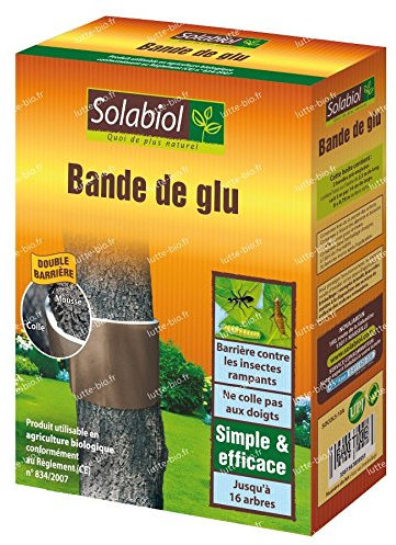 Solabiol SBM Bande DE GLU Etui 2 Bandes DE 2,5 M SOCOL5N