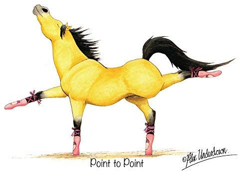 Grußkarte mit Motiv „Point to Point“ von Alex Underdown, Dressurpferd, Pferd, lustig
