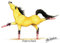 Grußkarte mit Motiv „Point to Point“ von Alex Underdown, Dressurpferd, Pferd, lustig