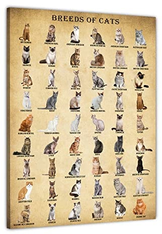 BASYEEO Poster mit Katzenrassen im Vintage-Stil, ungerahmt, 30,5 x 45,7 cm, Katzen-Wandkunst