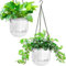 Melphoe Lot de 2 pots de fleurs à suspendre à auto-arrosage pour intérieur et extérieur, 16,5 cm, panier de fleurs à suspendre avec 3 crochets et trous de drainage pour jardin et maison (transparent)